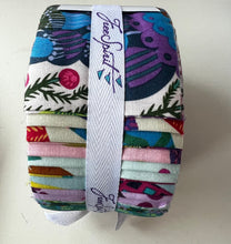 Load image into Gallery viewer, Kaffe Fassett 'Bright Eyes' 40pc Jelly Roll