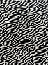 Load image into Gallery viewer, The Henley Studio Makower -  Jewel Tones Zebra
